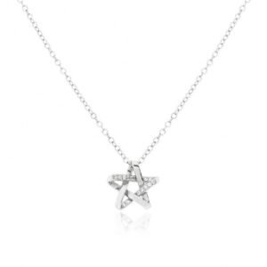 Gargantilla Plata Circonitas Estrella
