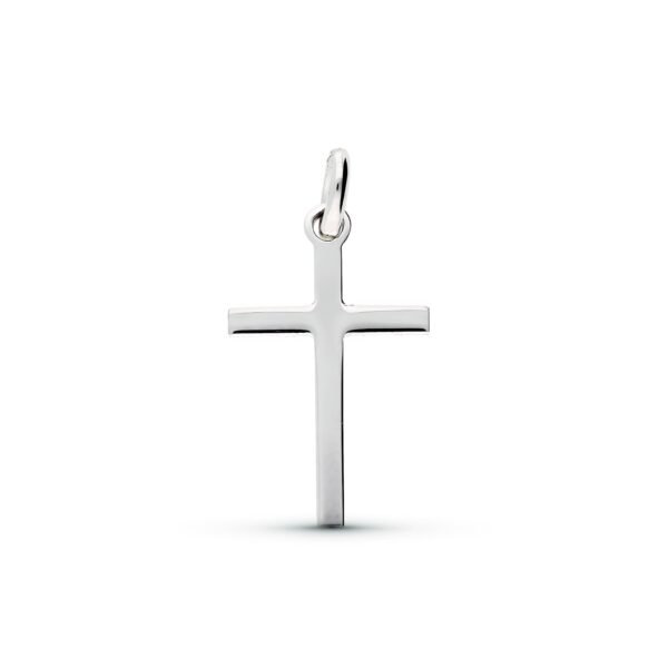 CRUZ PLATA LISA