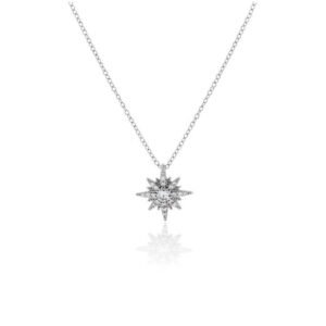 Gargantilla Plata Estrella circonitas